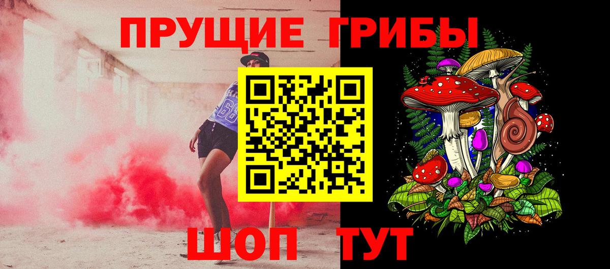 Галлюциногенные грибы Psilocybine cubensis  Вход с VPN  Острогожск 